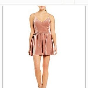 Gianni Bini Blush Velvet Mini Dress